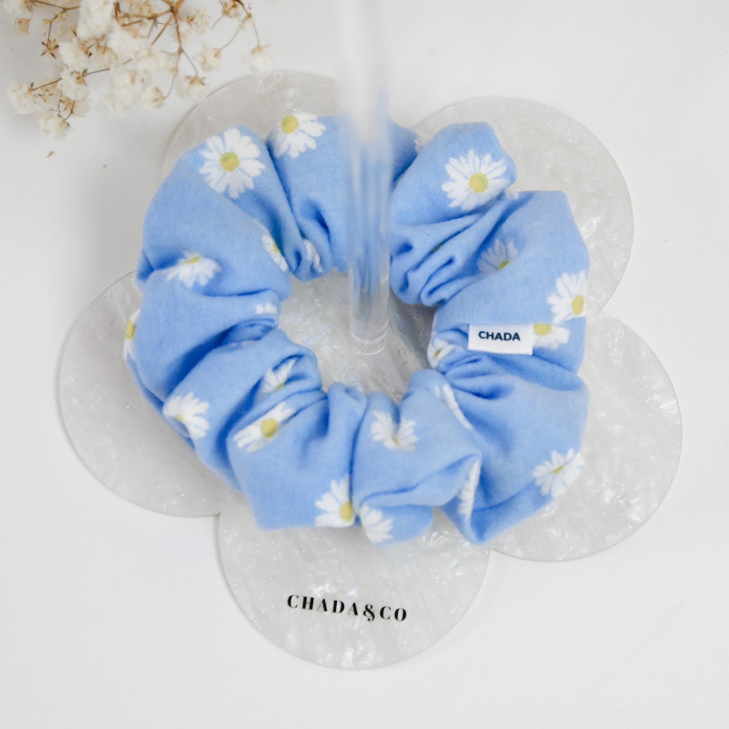 Daisy Blue